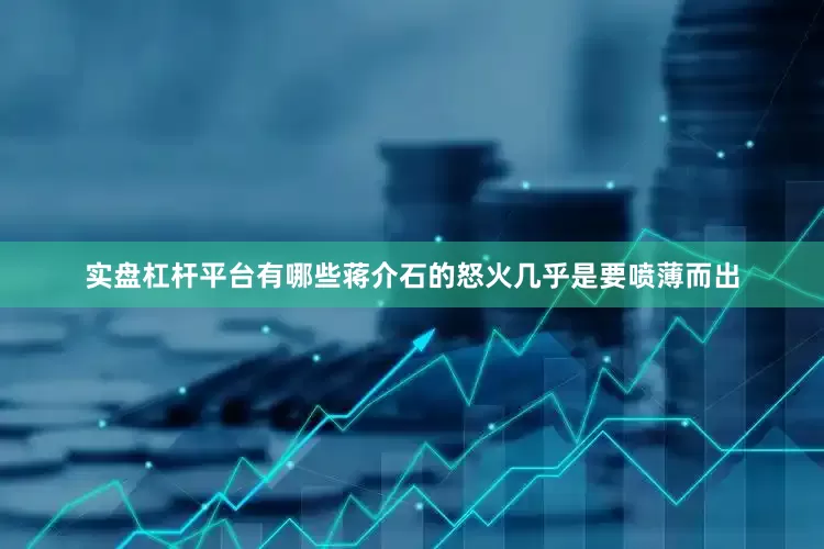 实盘杠杆平台有哪些蒋介石的怒火几乎是要喷薄而出
