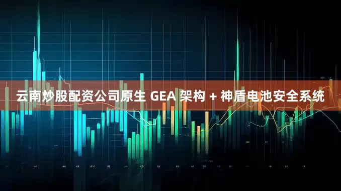 云南炒股配资公司原生 GEA 架构 + 神盾电池安全系统